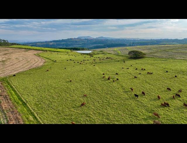 LAND FOR SALE IN MOUNT VERDE